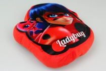 3D polštářek Kouzelná Beruška LadyBug 